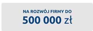 NA ROZWÓJ FIRMY DO 500 000 zł